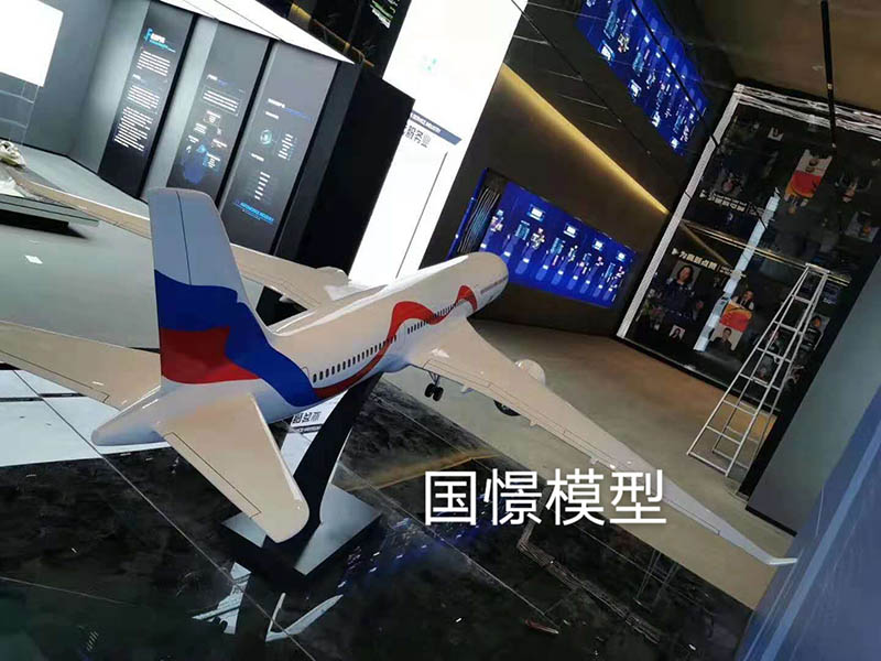 凤阳县飞机模型